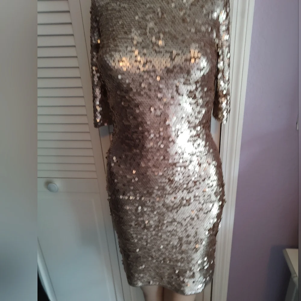 BCBG Maxazaria Fitted Mesh And Sequin Dress - Picture 2 of 9